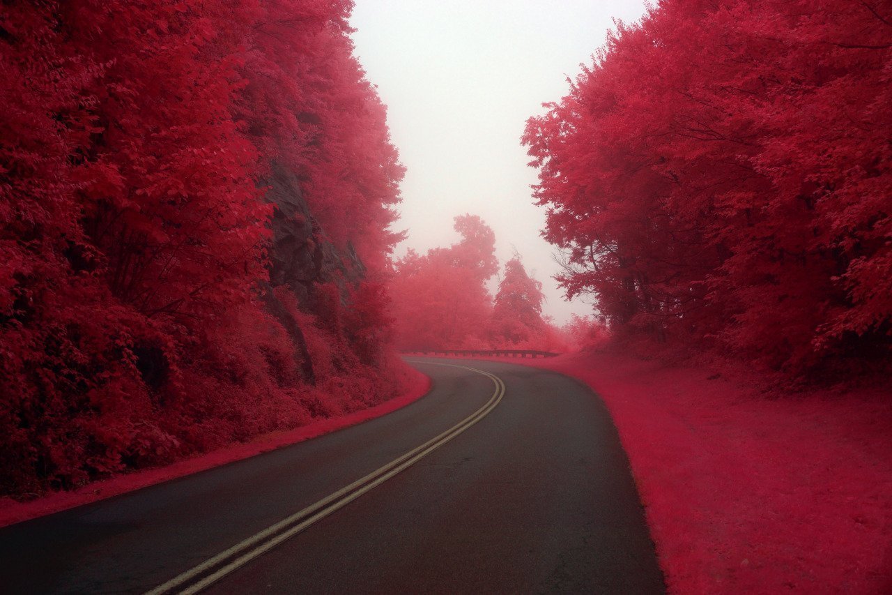 Красный насколько. Красная природа. Красный цвет в природе. Бордовый природа. Пейзаж в красных тонах.
