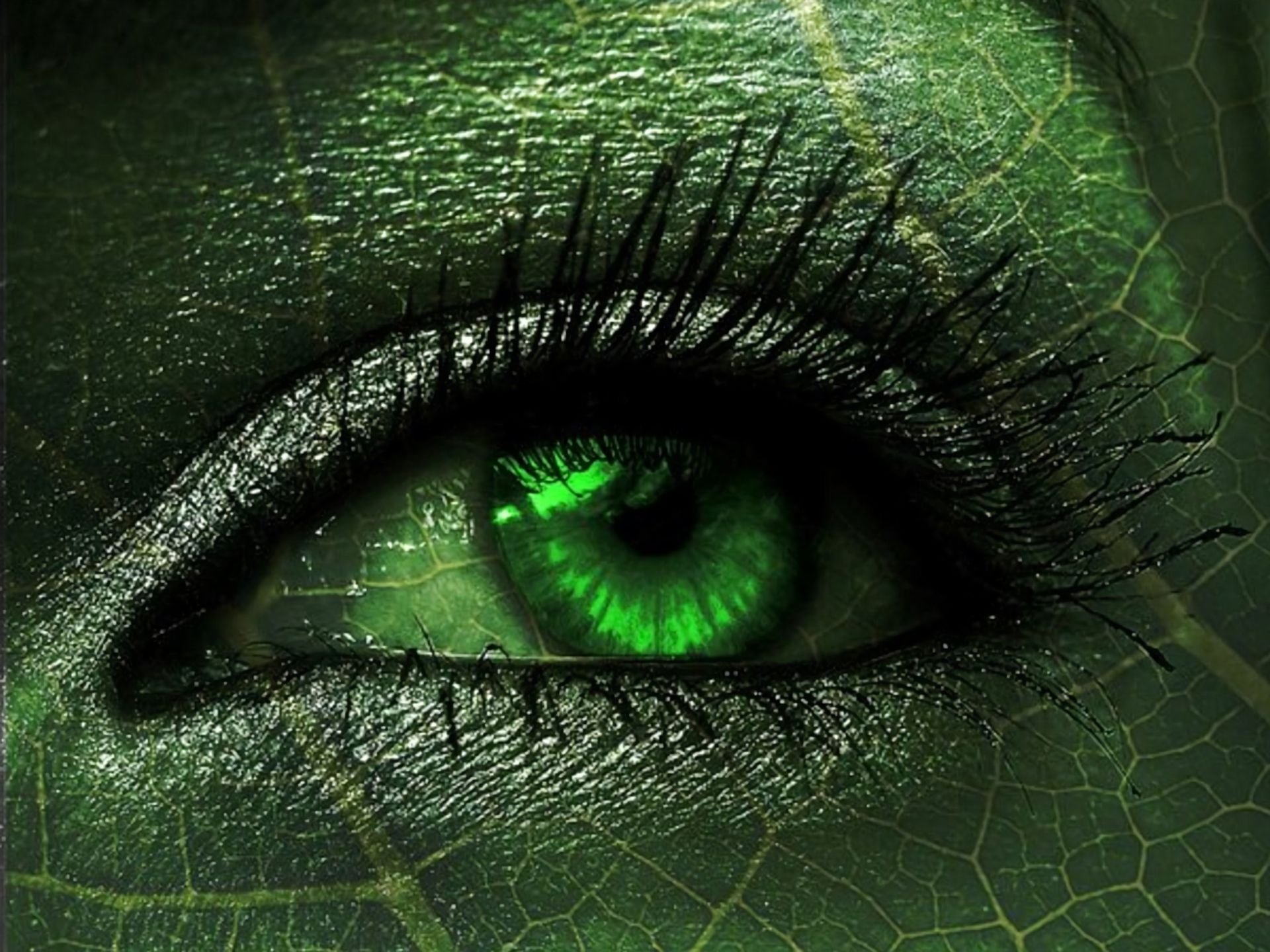 Зеленый цвет 16 9. Красивый зеленый. Красивый зеленый цвет. Тёмно-зелёный цвет. Красивые зеленые глаза.