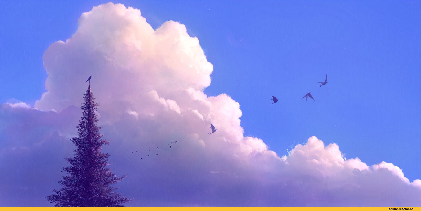 Холов небо. Птицы в небе. Деревья птицы облака. Птицы в облаках. Птица в облаках арт.