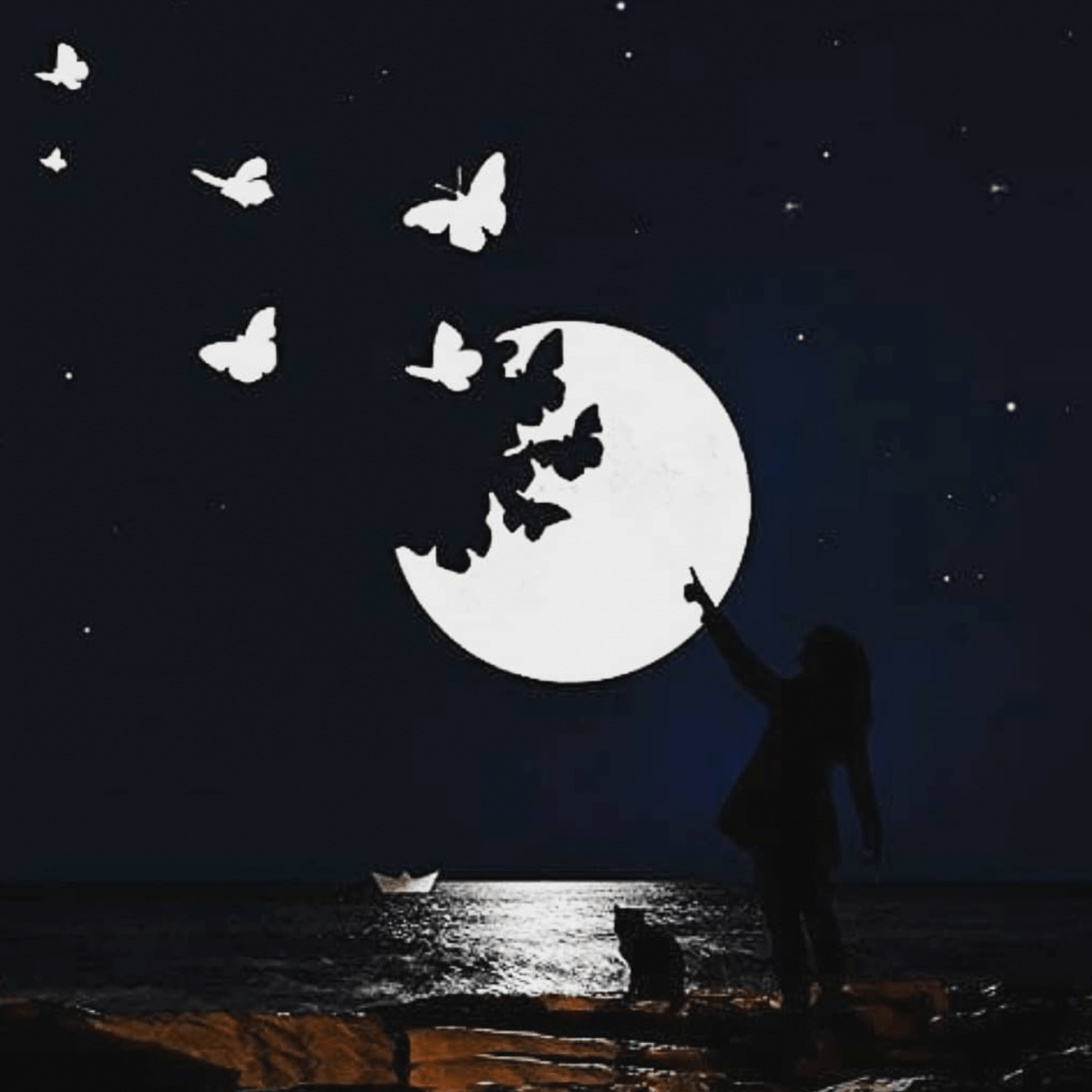 Луна стучит. Лунная ночь. Силуэт в ночи. Силуэт на фоне Луны. Ночь Луна.