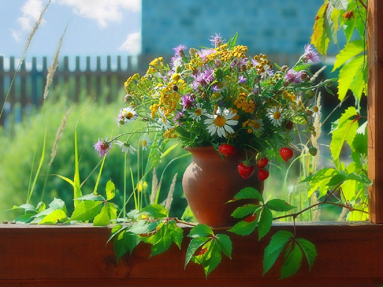 Хорошей погоды летнего дня. Летние цветы на окне. Красивые летние цветы. Летний натюрморт. Полевые цветы на окне в деревне.