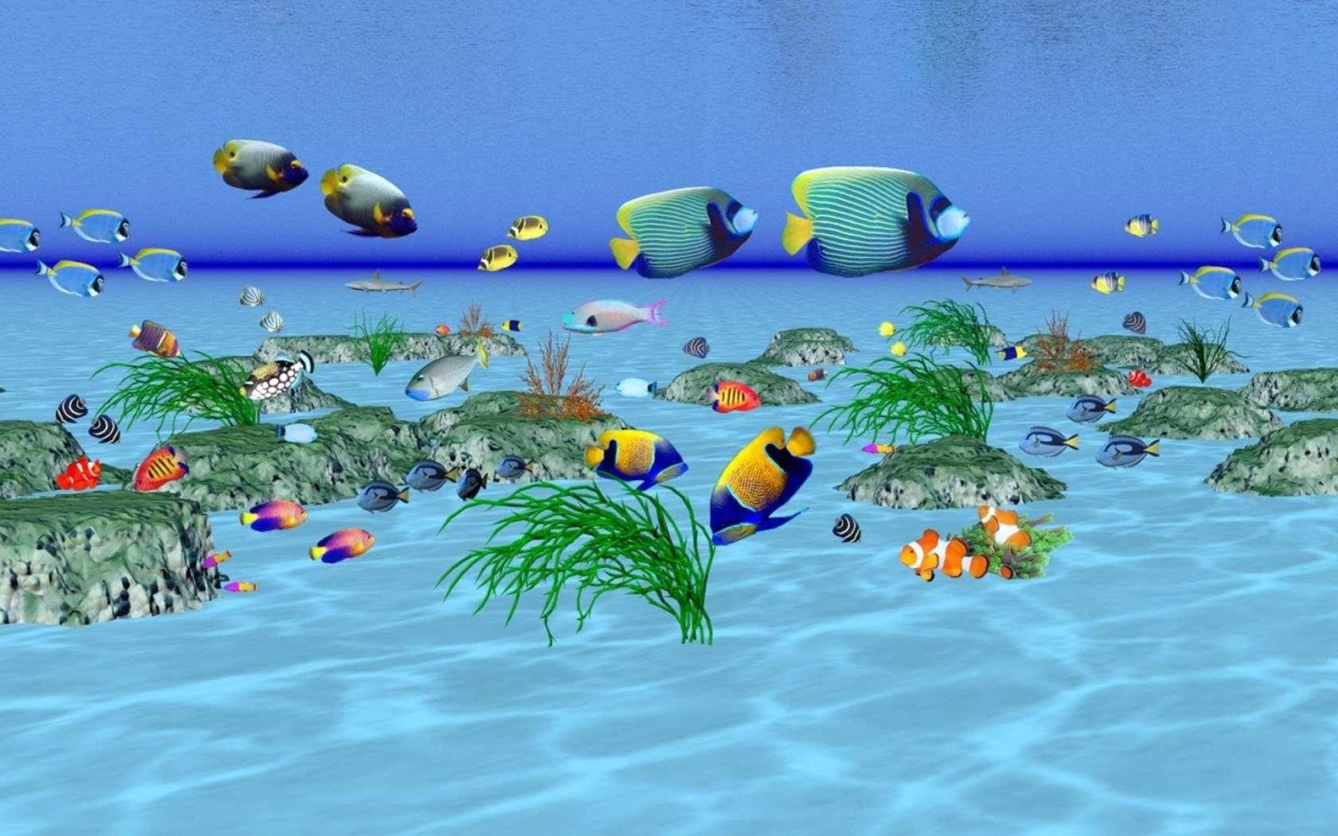 Живые плавающие обои. Живые рыбки. Аквариум 3д. Скринсейвер рыбки. Обои аквариум.