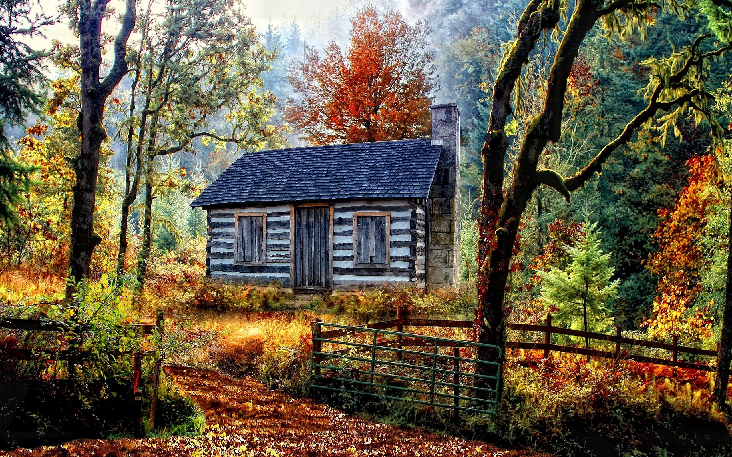 Хата фон. Домик в лесу. Пейзаж с домом. Пейзаж с домиком. Осень в деревне.