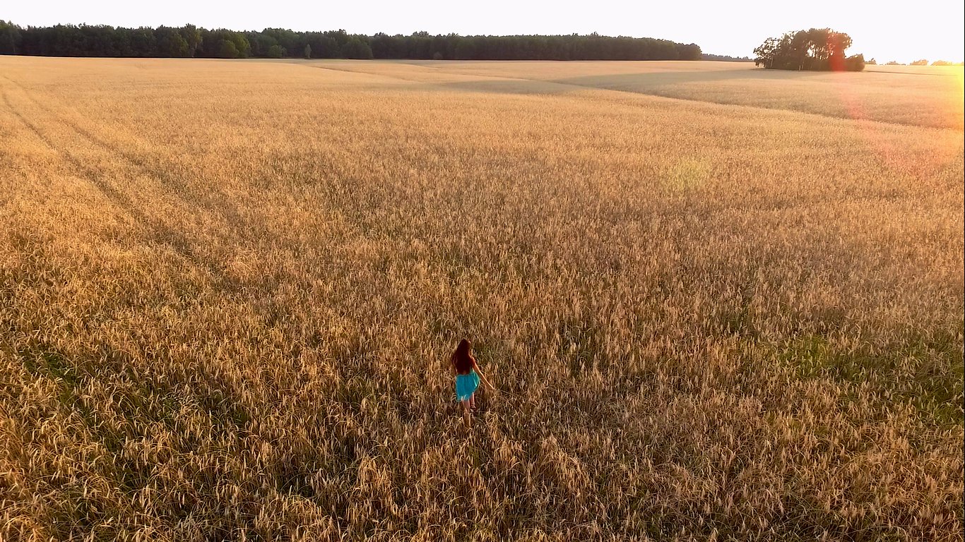 Поле пшеницы сверху. Поля пшеницы с высоты птичьего полета. Поле пшеницы вид сверху. Фотосессия в поле пшеницы.