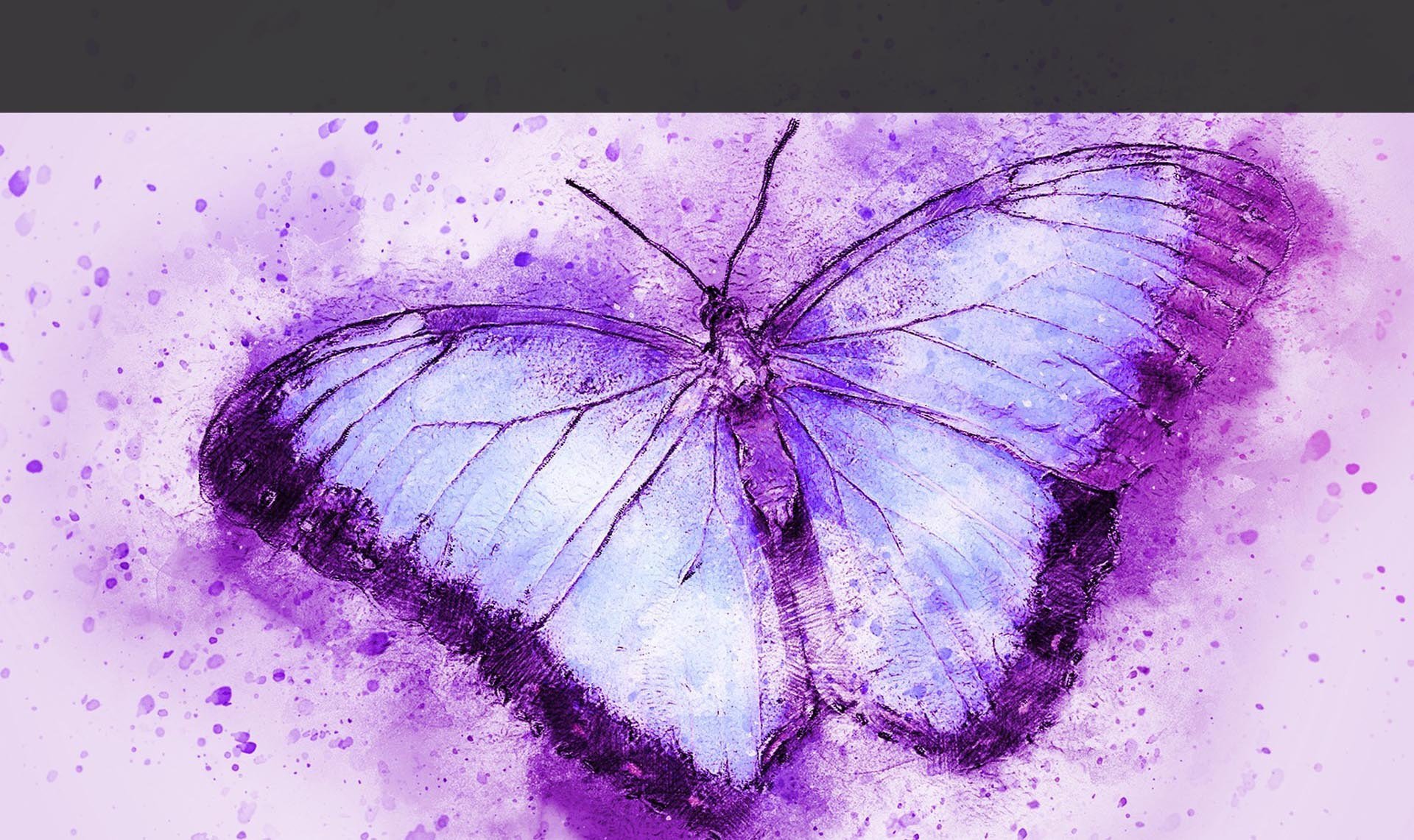 Фиолетовые бабочки картинки. Бабочка фиолетовая. Фиолетовоебабочки. Бабочка лиловая. Сиреневый фон с бабочками.