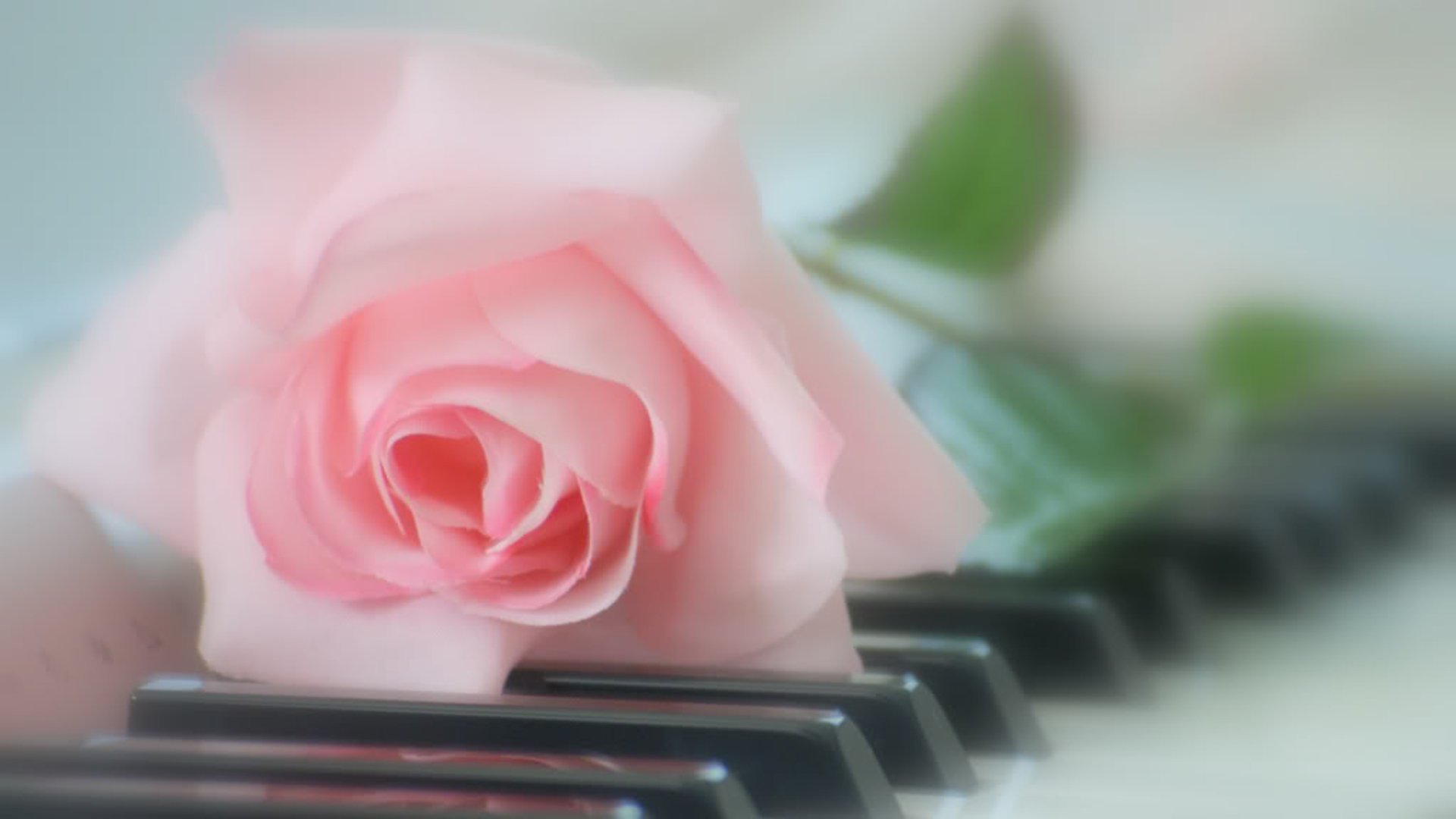 Песни от всей души 22. Розы на рояле. Цветы на рояле. Цветы на пианино.