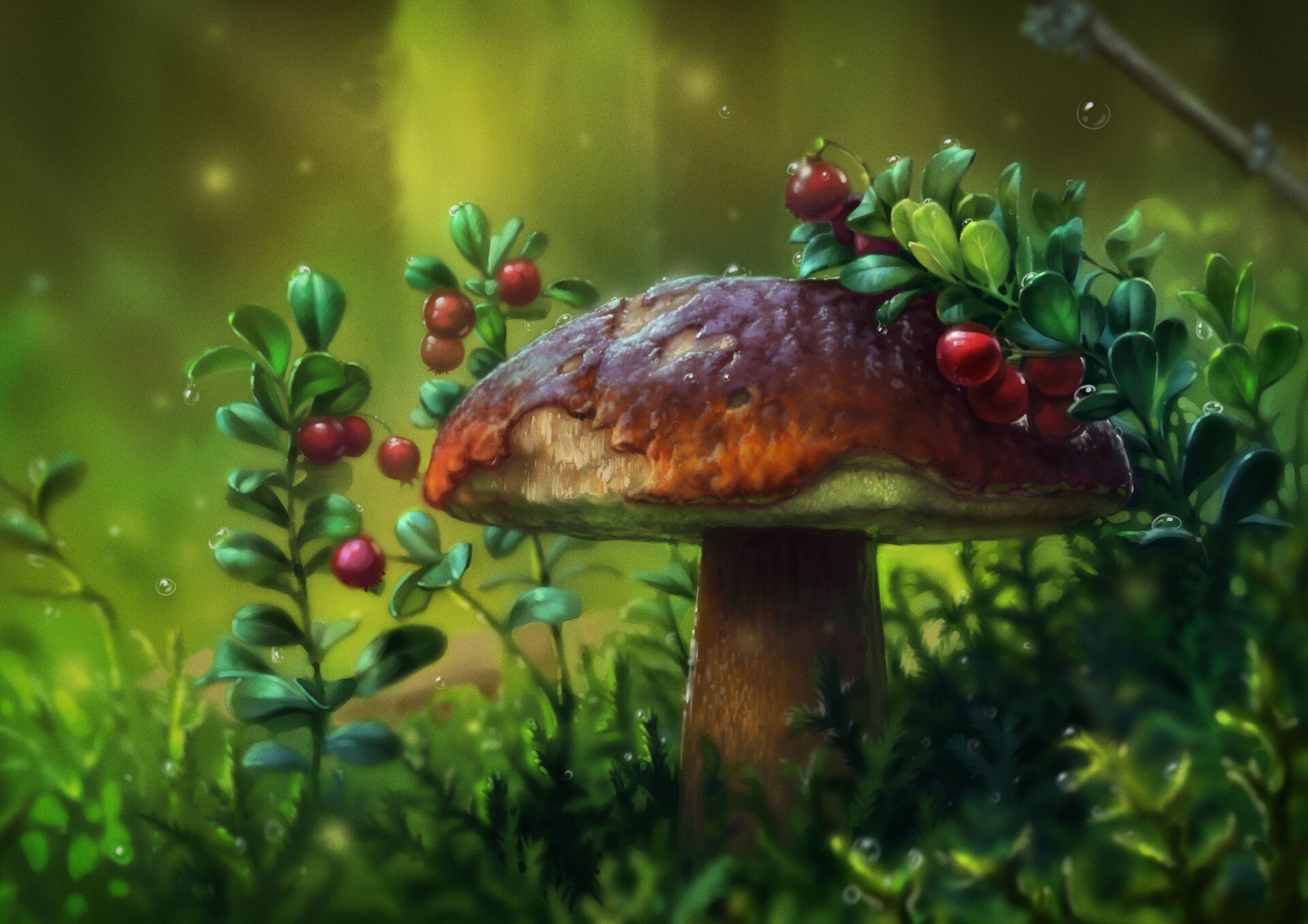 Живые грибы. Сказочный лес с грибами. Волшебный лес с грибами. Грибы арт. Сказочный лес с грибами и ягодами.