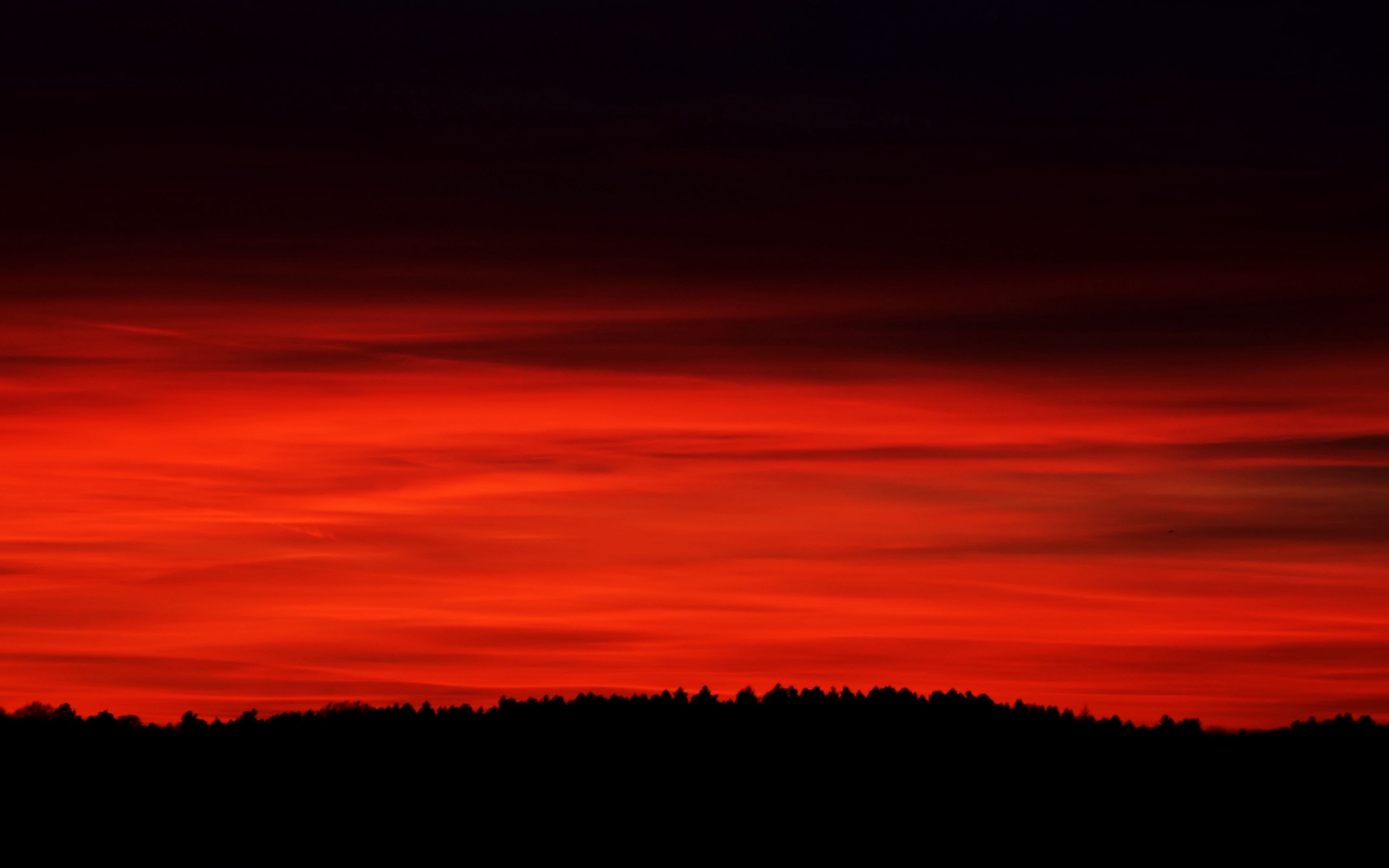 Багряный горизонт. Красный закат. Кровавый закат. Красное небо. Кроваво красный закат.
