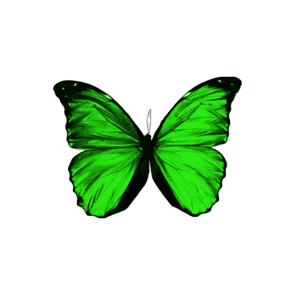 Зеленые бабочки на бумаге. Зеленая бабочка Трейды. Бабочки зеленые медицинские. Черно зеленая бабочка