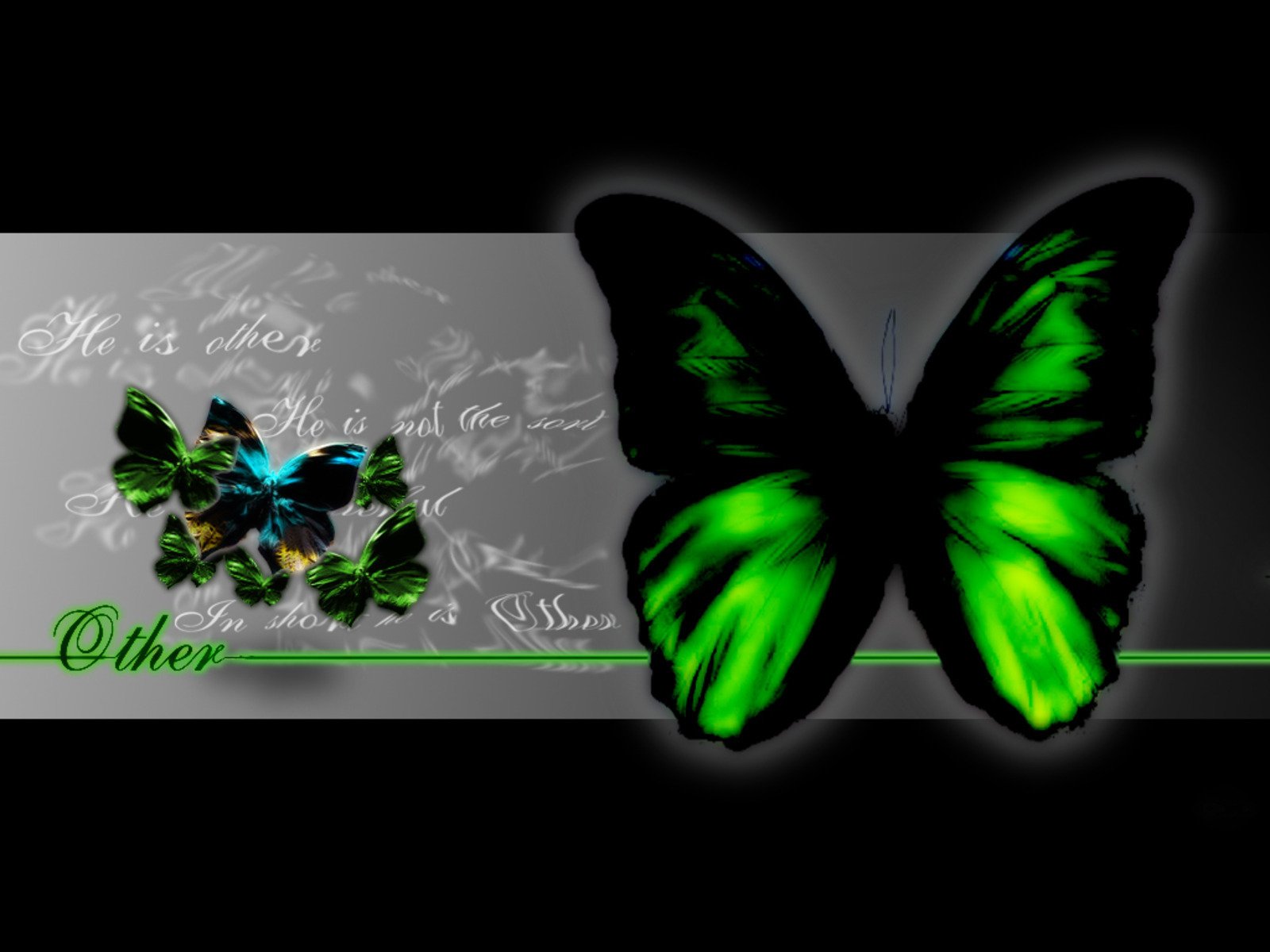 Черно зеленая бабочка. Бабочка на зеленом фоне. Черно зеленые обои с бабочками. Бабочки на зелёном фоне для монтажа.