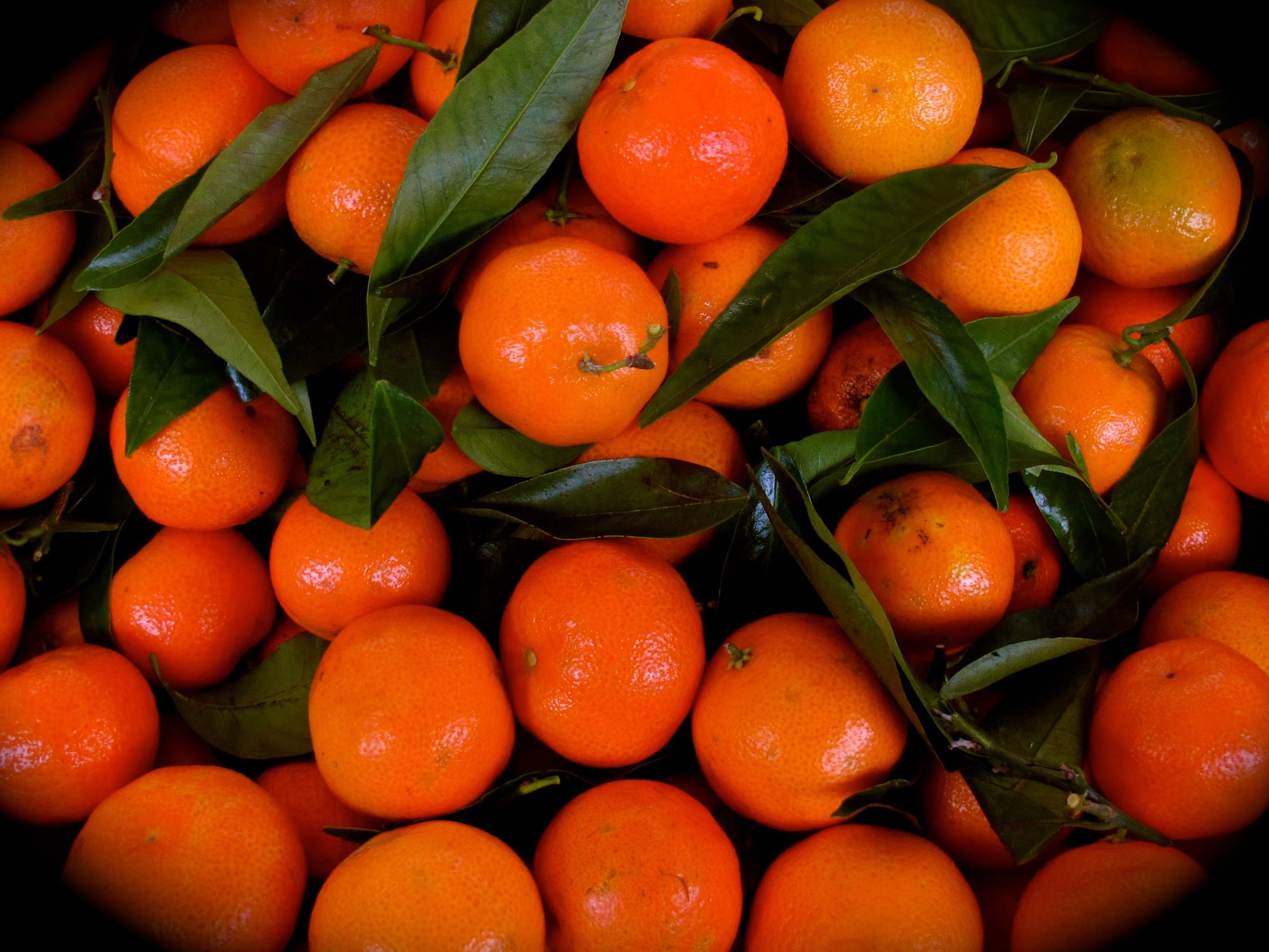Производство мандаринов. Танжерин фрукт. Мандарины. Мандарины много. Оранжевый цвет.