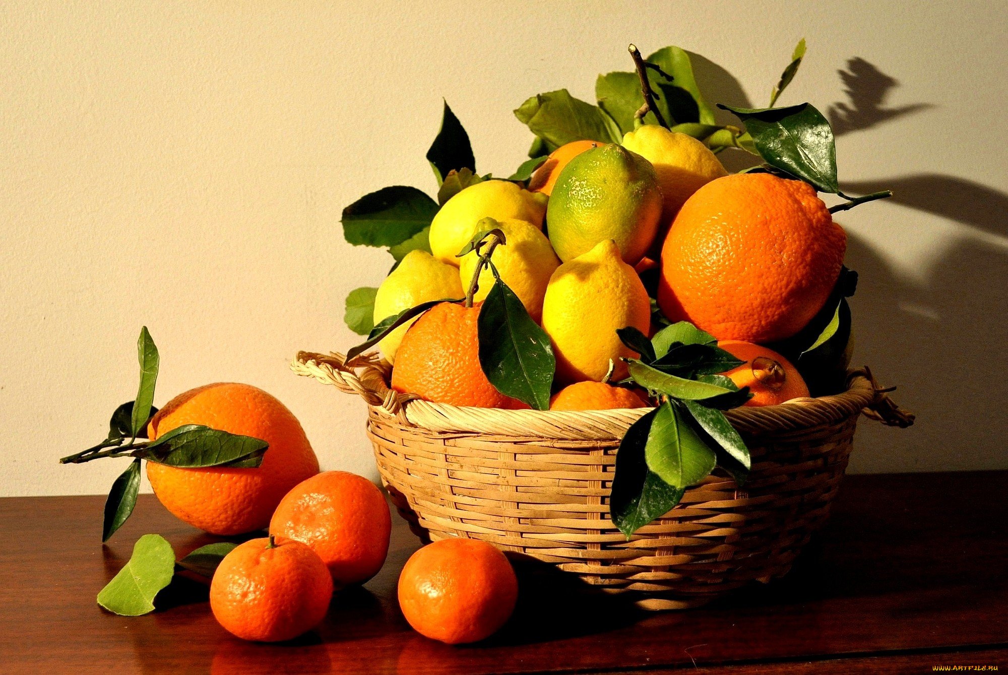 День апельсина и лимона картинки. Мандарин померанец. Натюрморт с фруктами. Апельсин и мандарин. Корзинка с мандаринами.