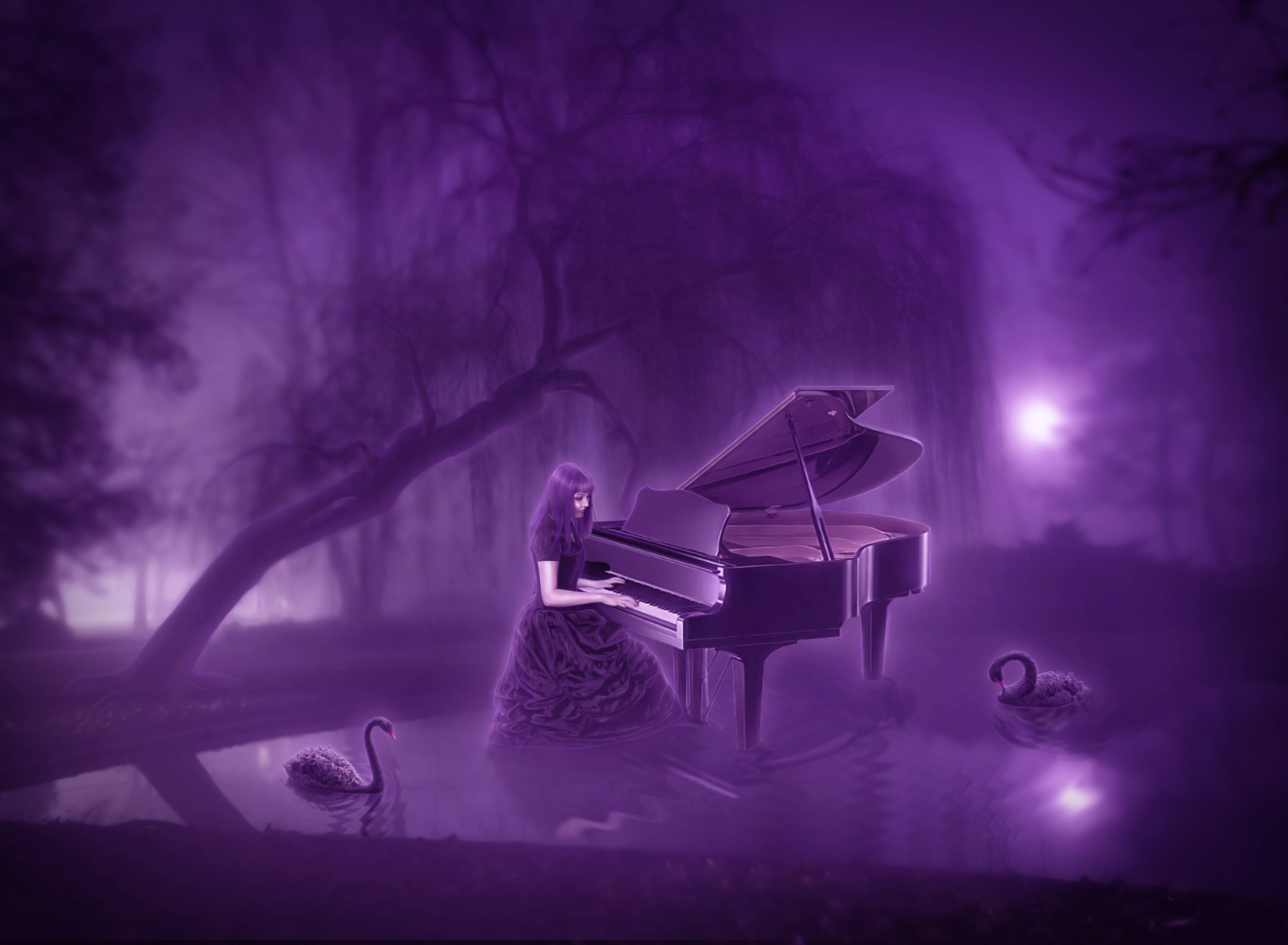 Песни сказочная ночь. Музыкальный пейзаж. Фиолетовое фортепиано. Фиолетовое пианино. Магическое пианино.