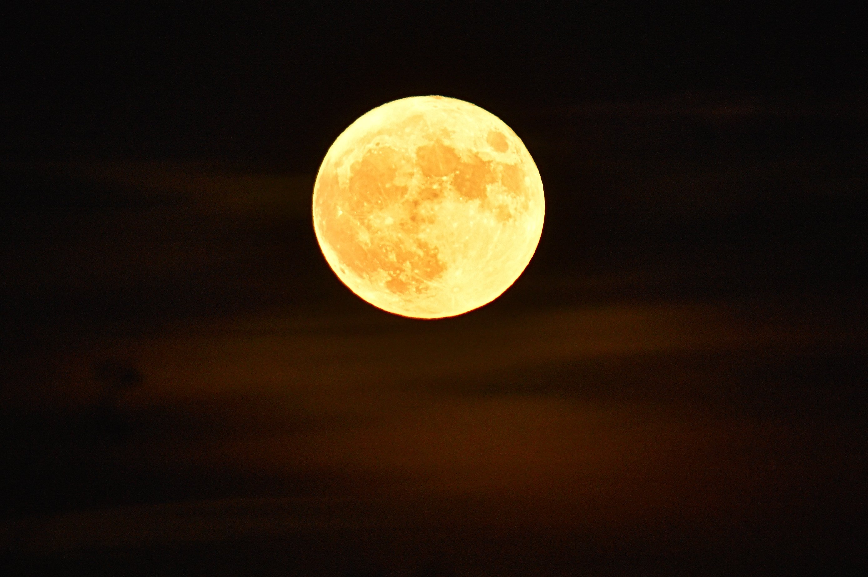 Луна как желтый медведь. Желтая Луна. Луна желтая большая. Желтая Луна в большом разрешении. Огромная Луна на оранжевом фоне'.