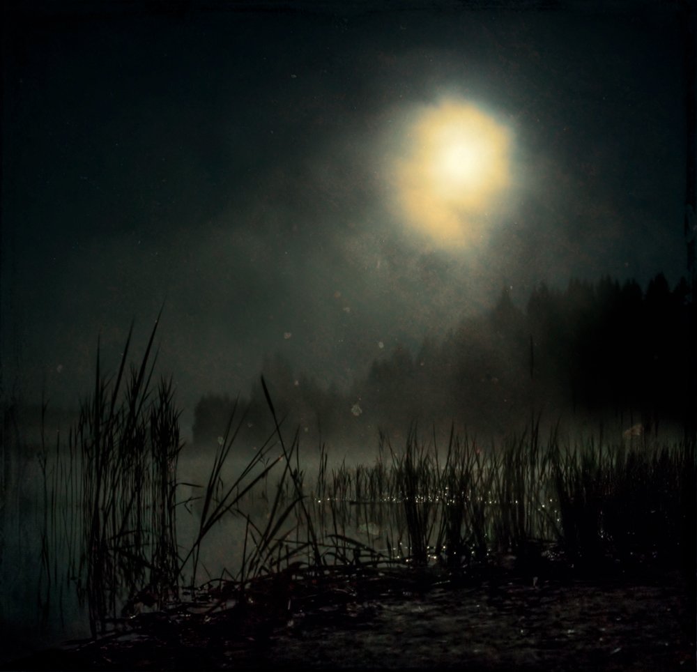 Болотный свет. Ночное болото. Болото ночью. Ночь на болоте. Болото туман.