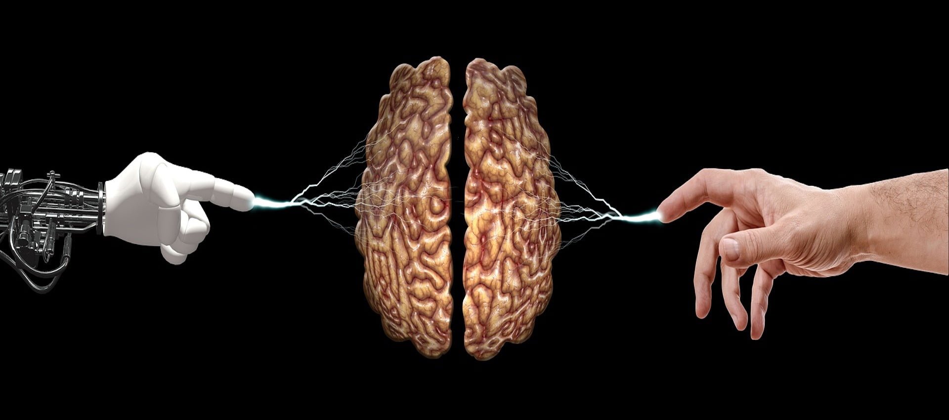 Пальцы рук и мозг. Мозг в руках. Мозг на ладони. Мозг с руками и ногами.