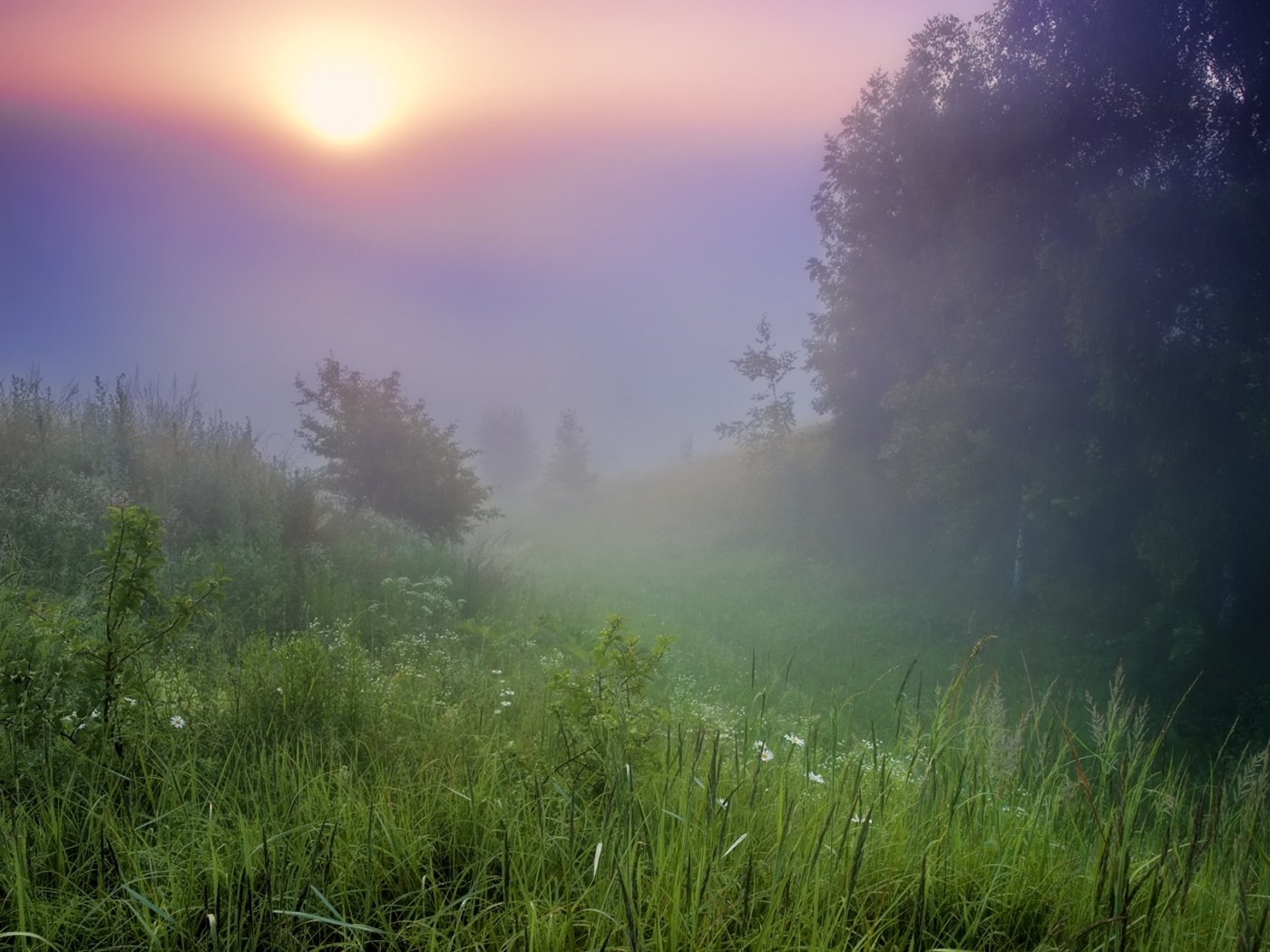 Раннее утро на природе. Утренний пейзаж. Утренний туман. Туманный пейзаж. Утренний туман природа.