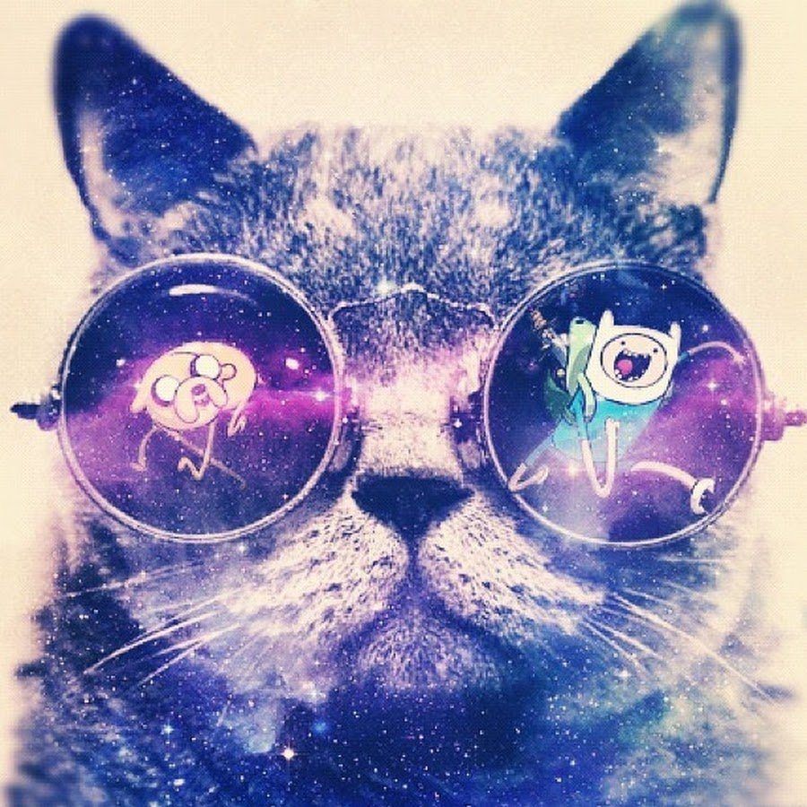 Кот в очках космос