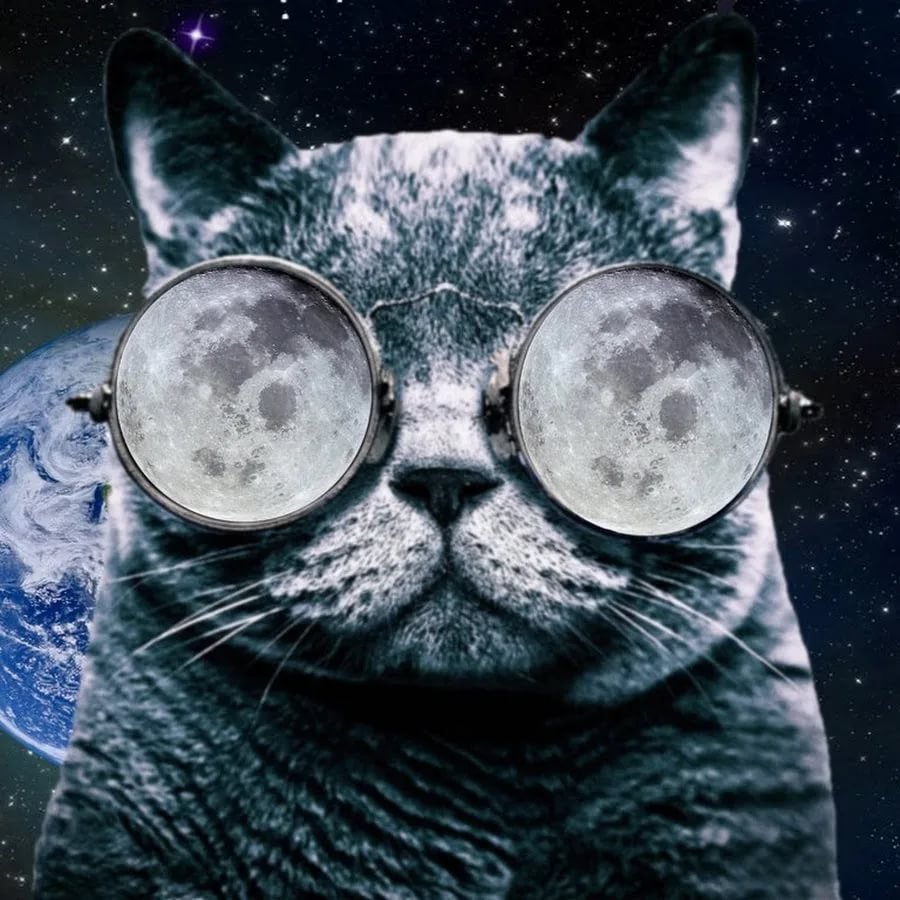 Радужный кот в очках