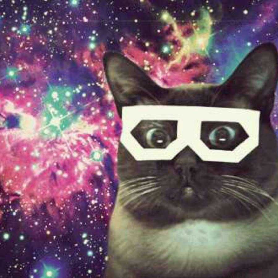 Коты в космосе