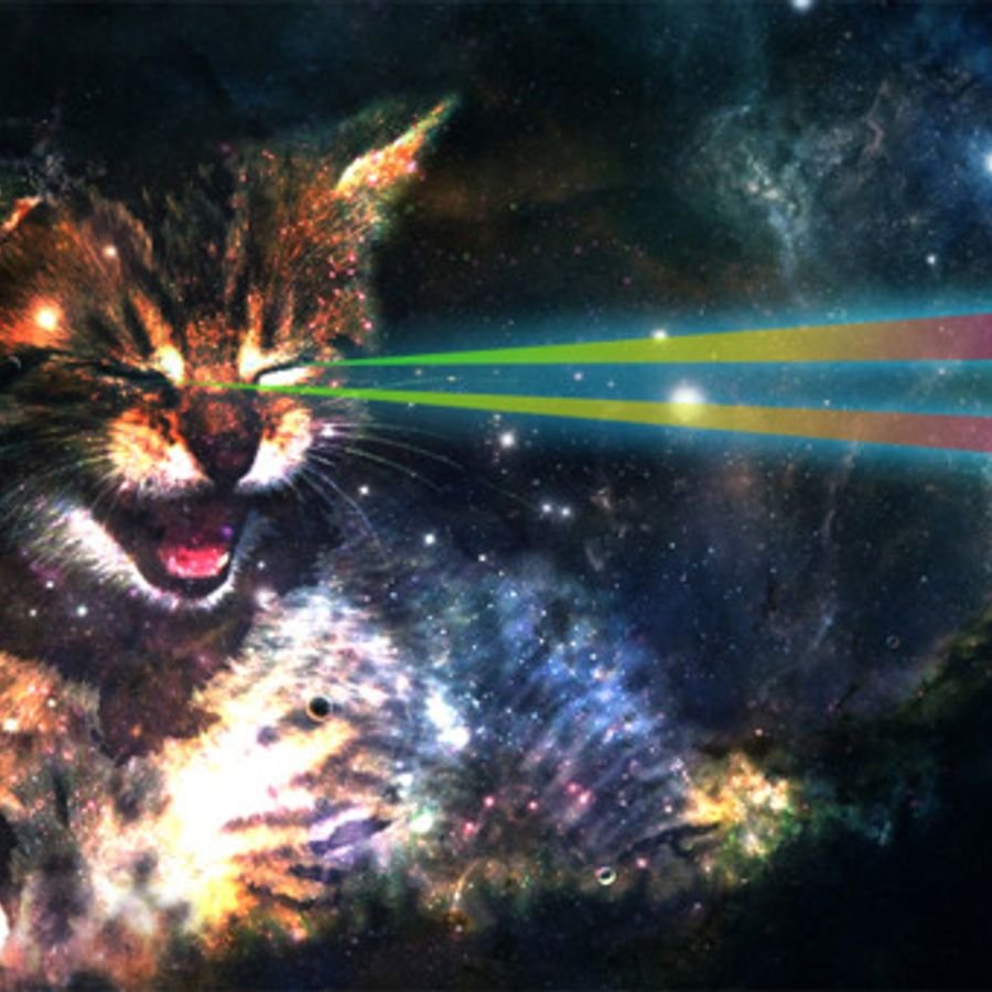 Кот в космосе