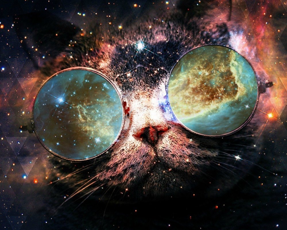 Котик в очках с космосом