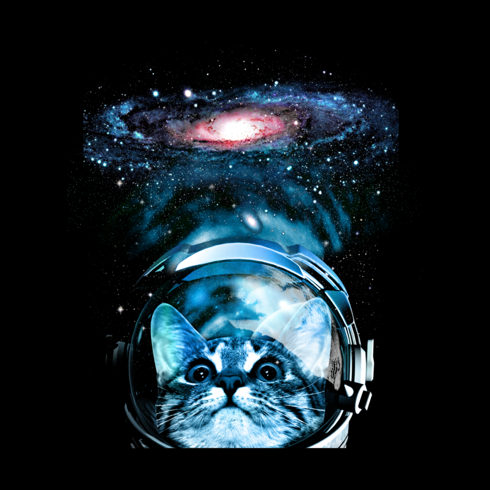 Кот в очках космос