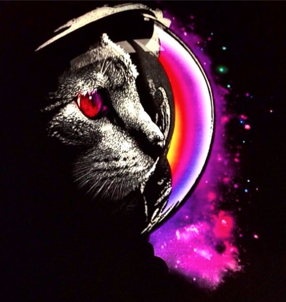 Доги в космосе