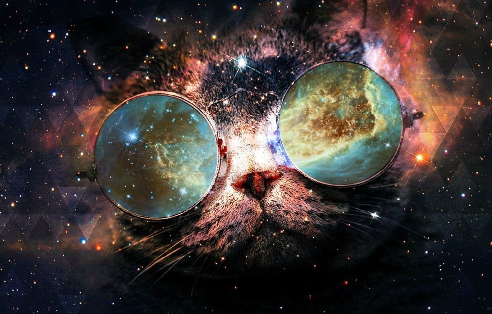 Космический кот