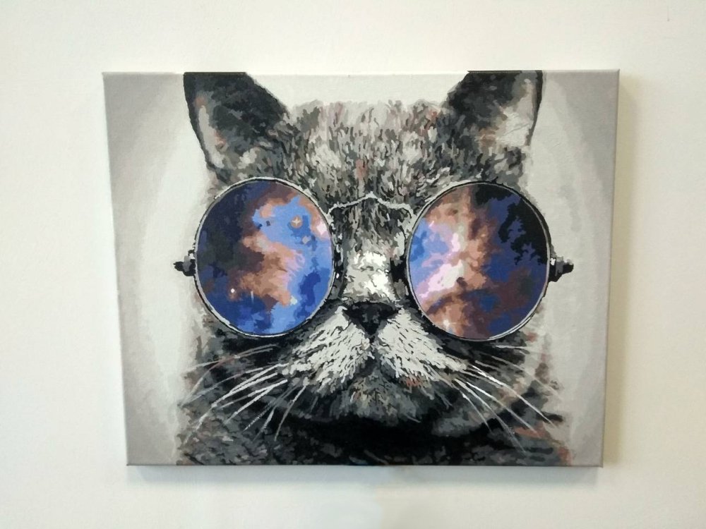 Кошка в космосе