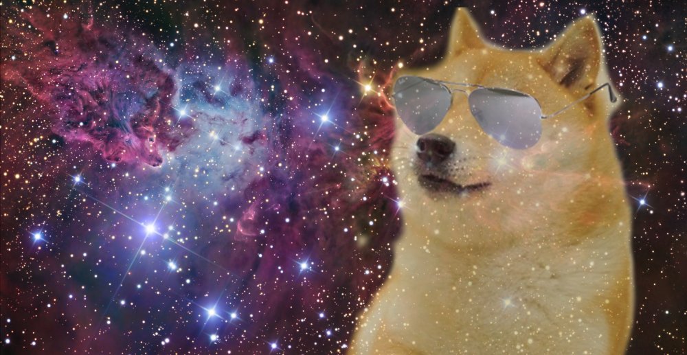 Космический котик