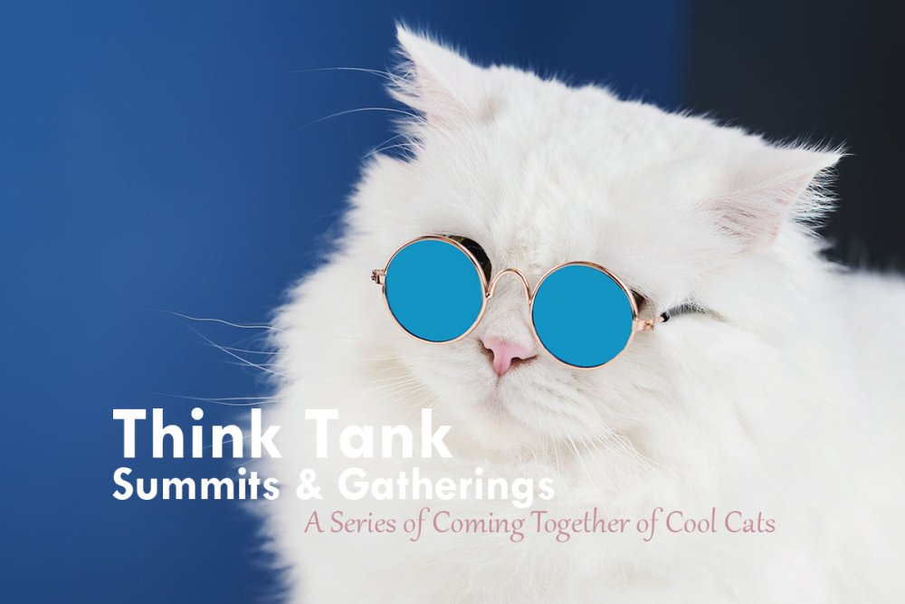 Котята в космосе