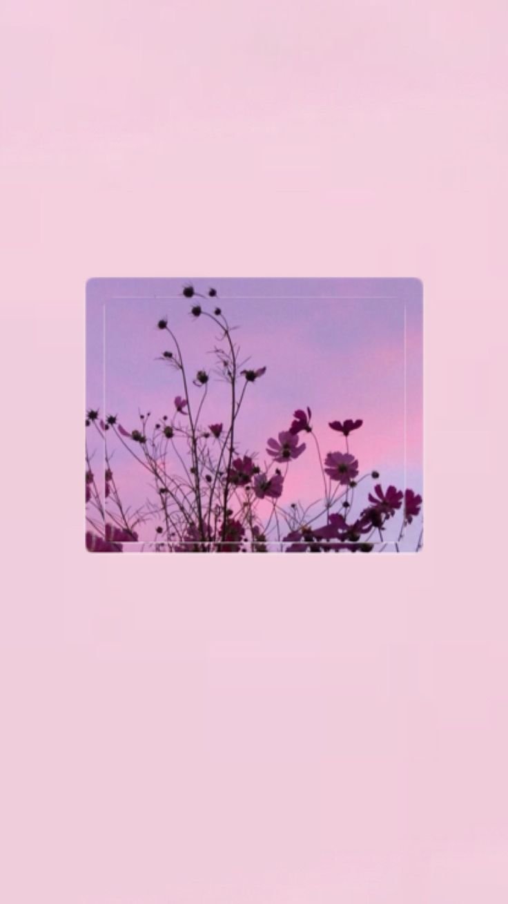 Aesthetic на айфон