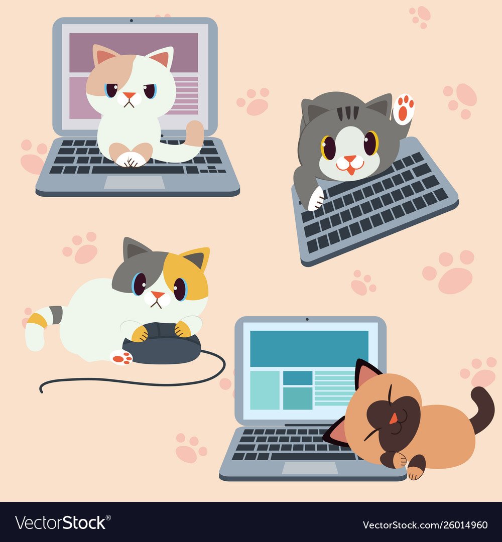 Котик за ноутбуком