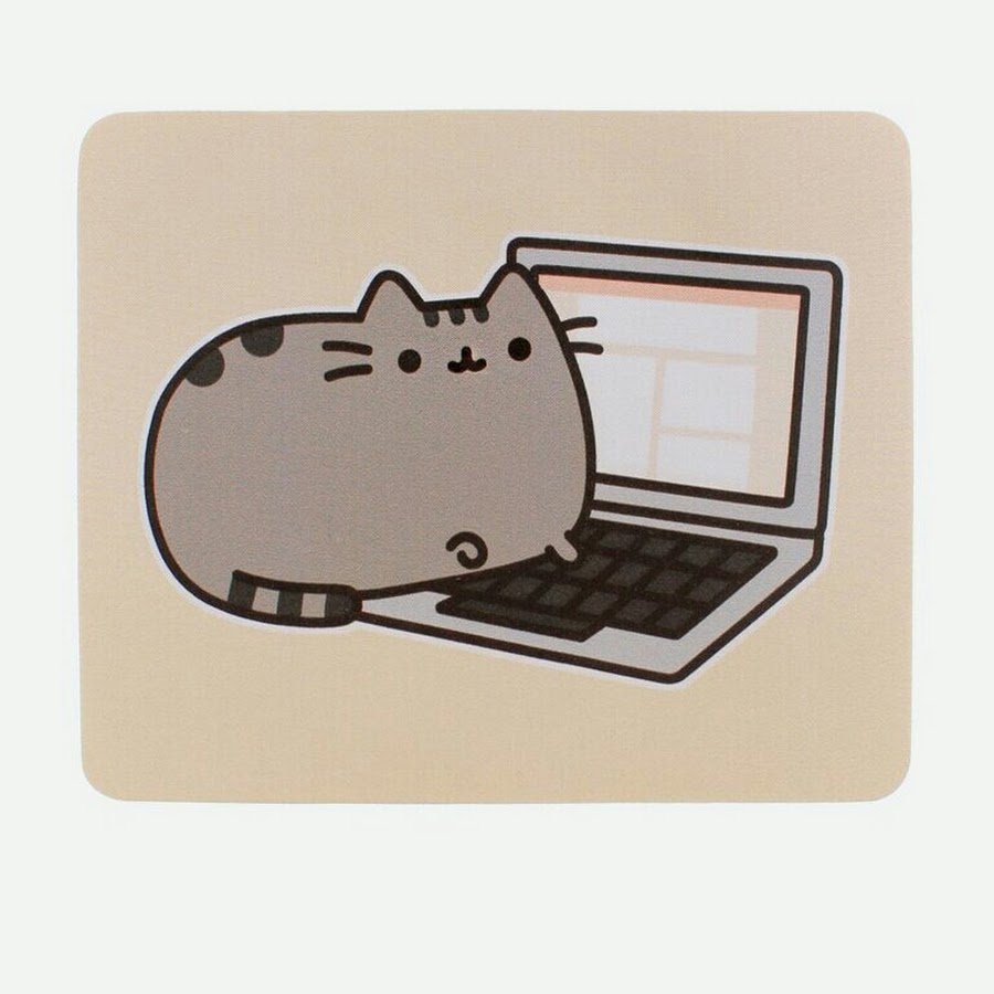 Котик Минимализм