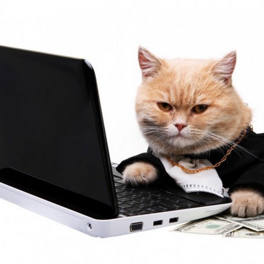 Эстетика Сейлор Мун Луна