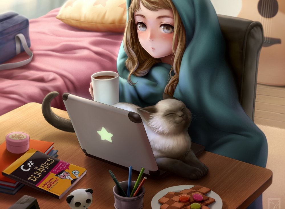 Котик на клавиатуре