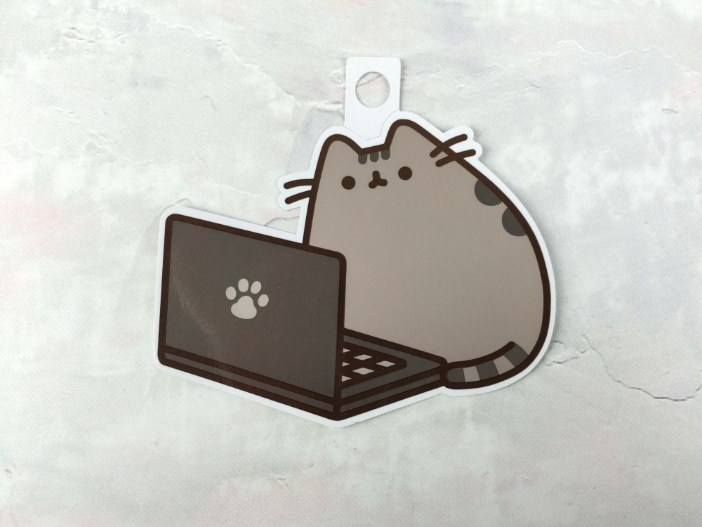 Человек ноутбук кот