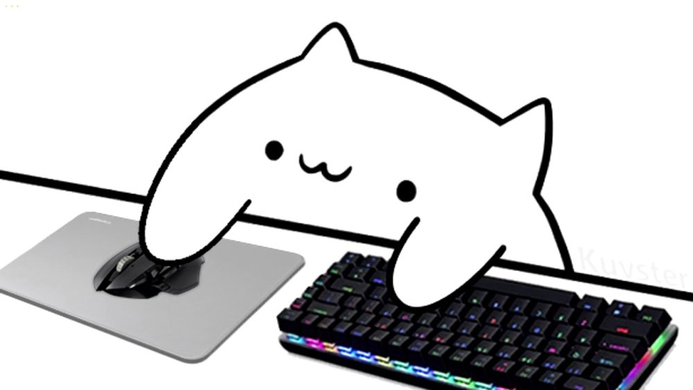 Котенок на ноутбуке