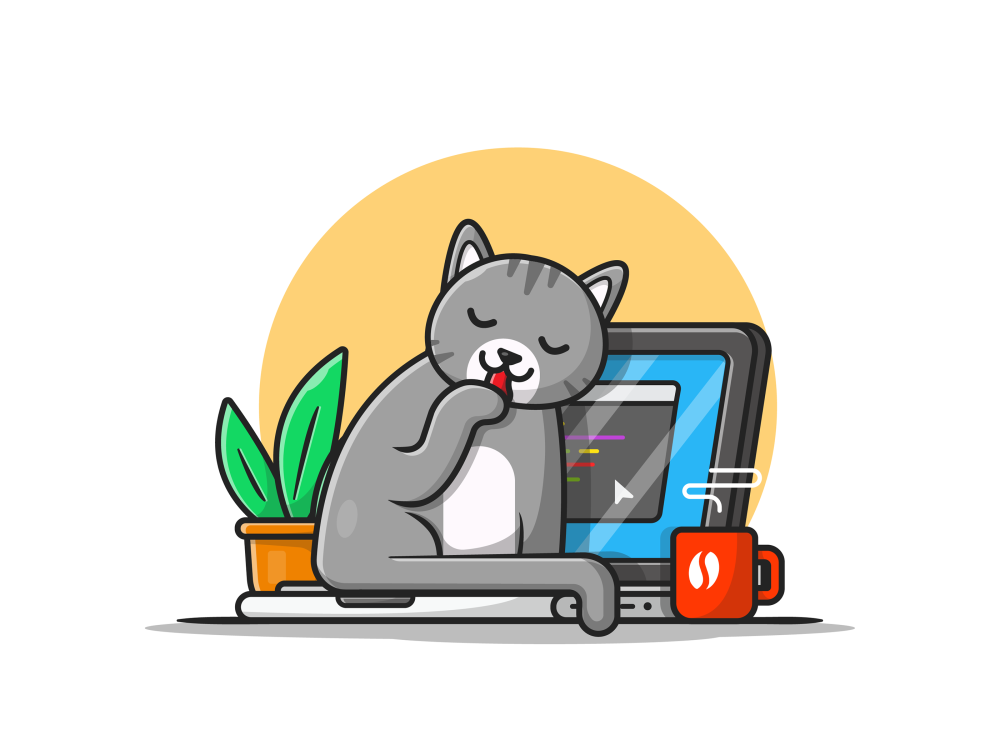 Котик с ноутбуком