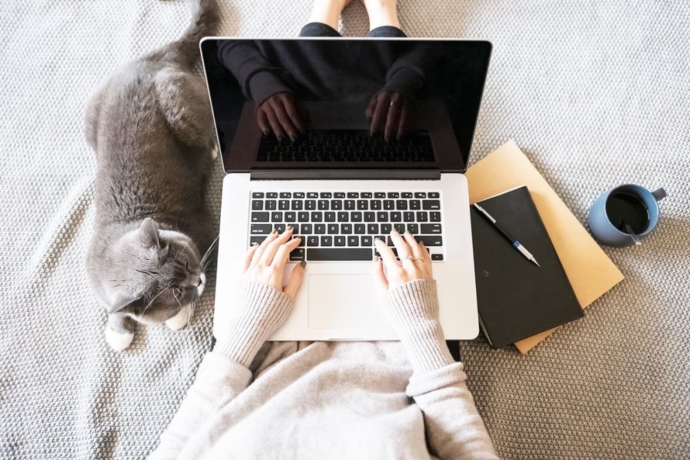 Удаленная работа с котом