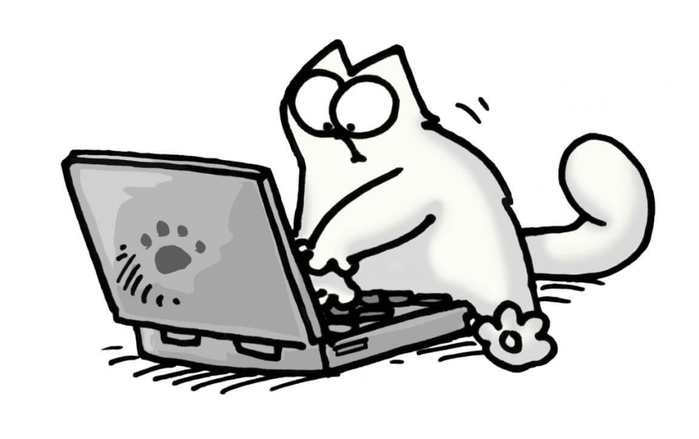 Стикер кот с ноутбуком
