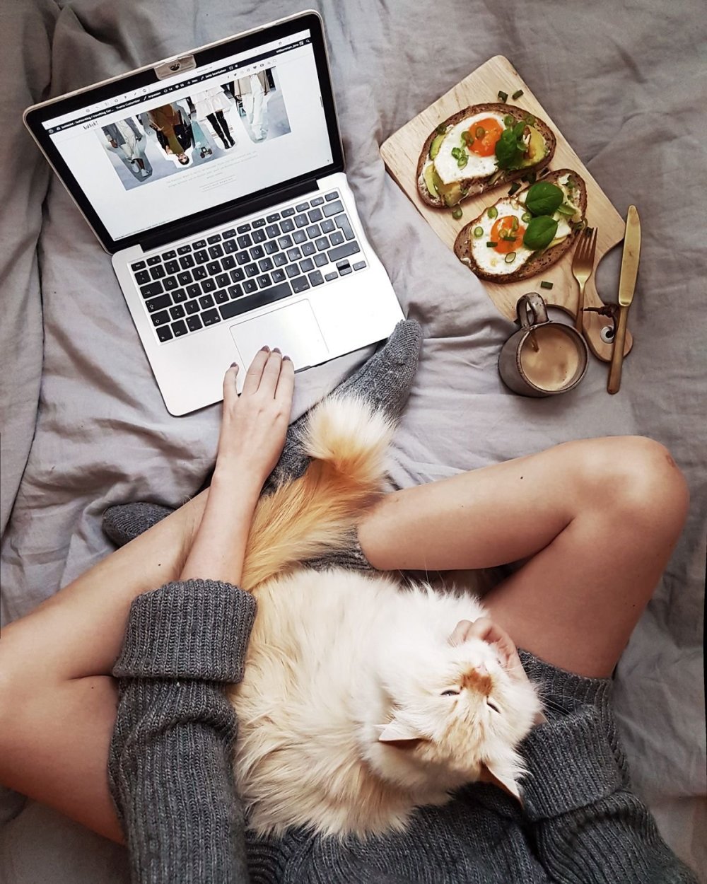 Кот Минимализм