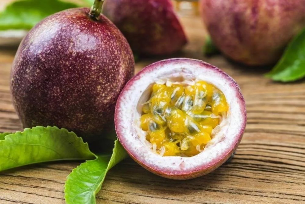 Маракуйя Северная