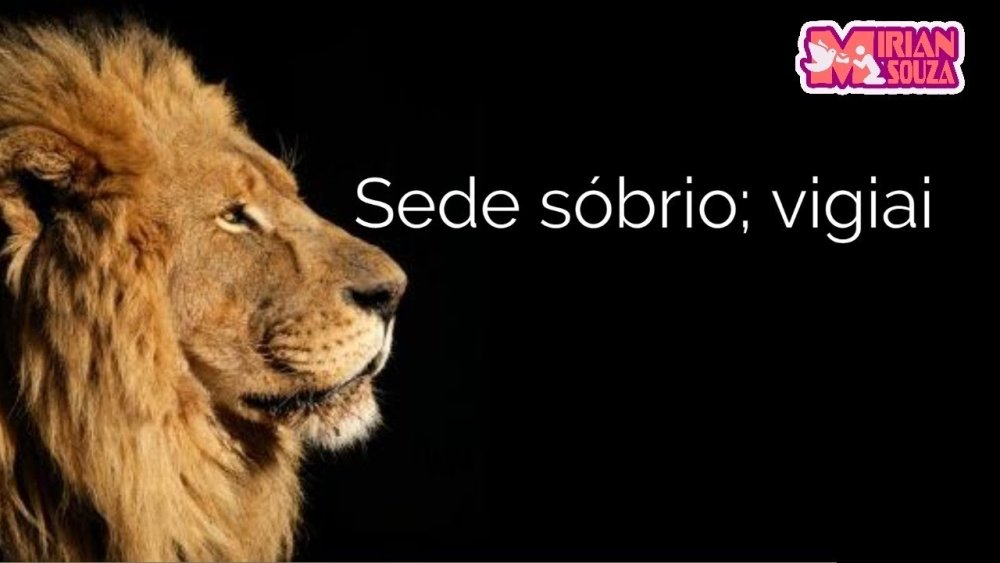 Лев Минимализм