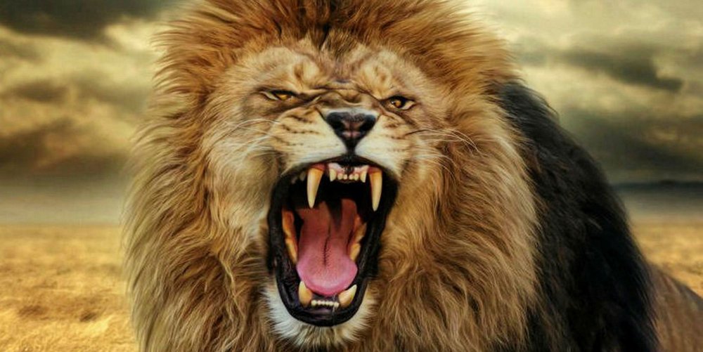 Золотистый Лев