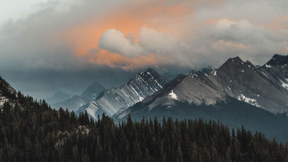 Красота природы