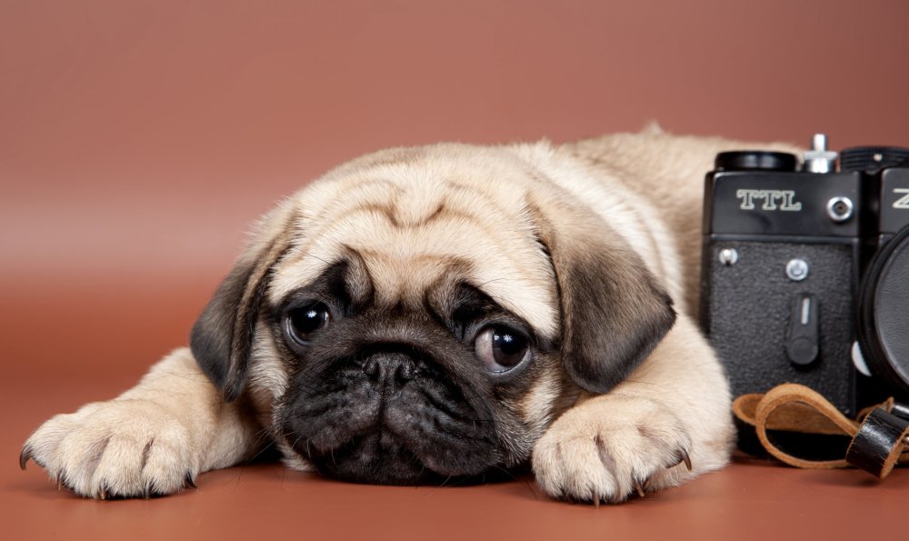 Пейзаж море