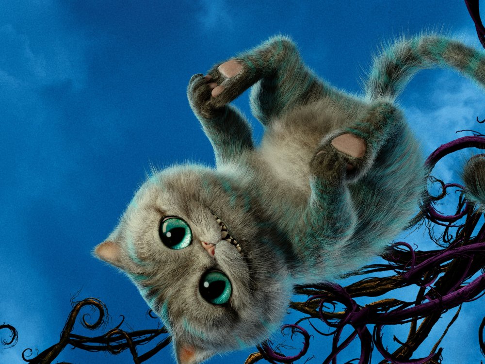 Красивый берег