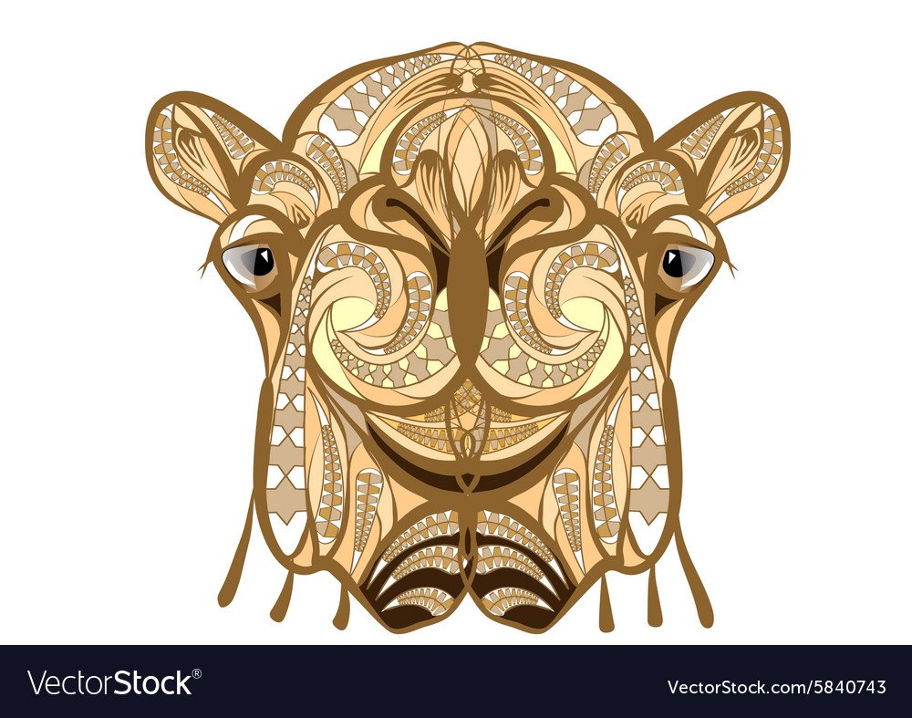 Верблюд на белом фоне